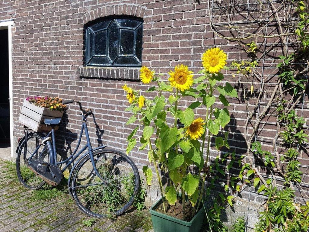 Het Voorhuis Boerderij Hoeve Vrede Best Весп Экстерьер фото